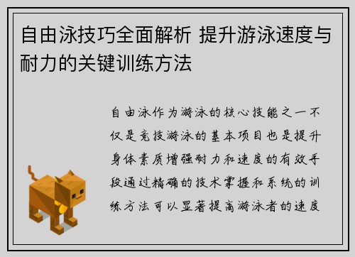 自由泳技巧全面解析 提升游泳速度与耐力的关键训练方法