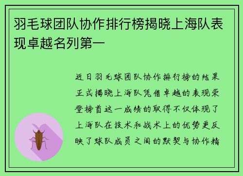 羽毛球团队协作排行榜揭晓上海队表现卓越名列第一